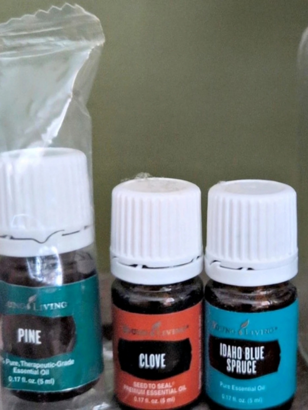 Fall Scent Set Young living Essential Oils Pine Clove Idaho Blue Spruce NWT